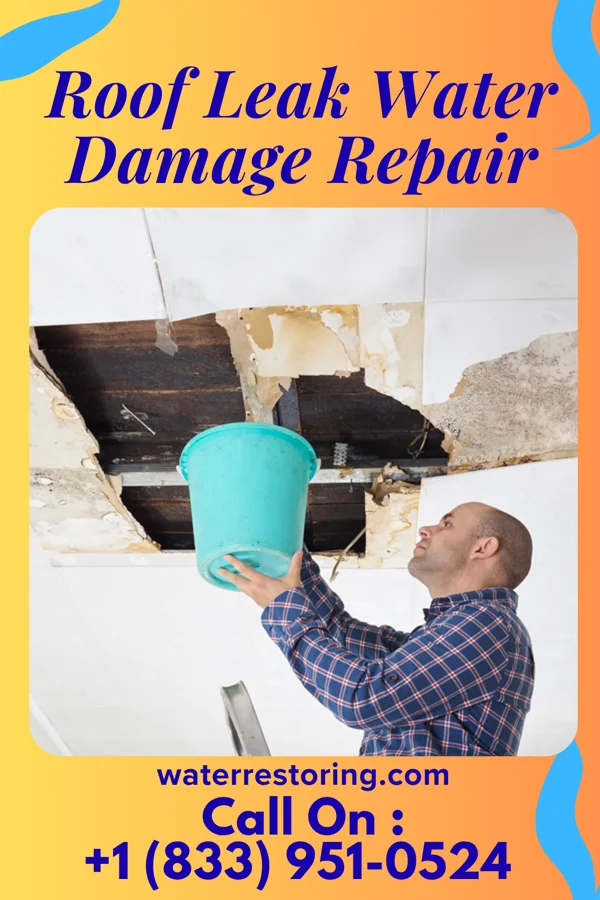Roof Leak Water Damage Repair in Tribune, KS
